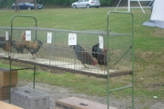 image010