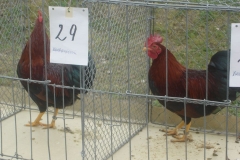 image020