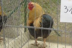 image021