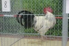 image022