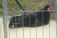 image023