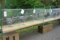image041