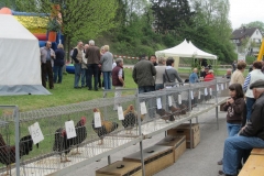image003