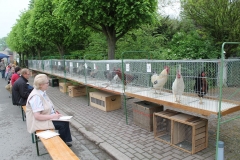 image031