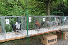 image045