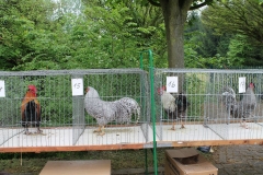 image046