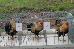 image047
